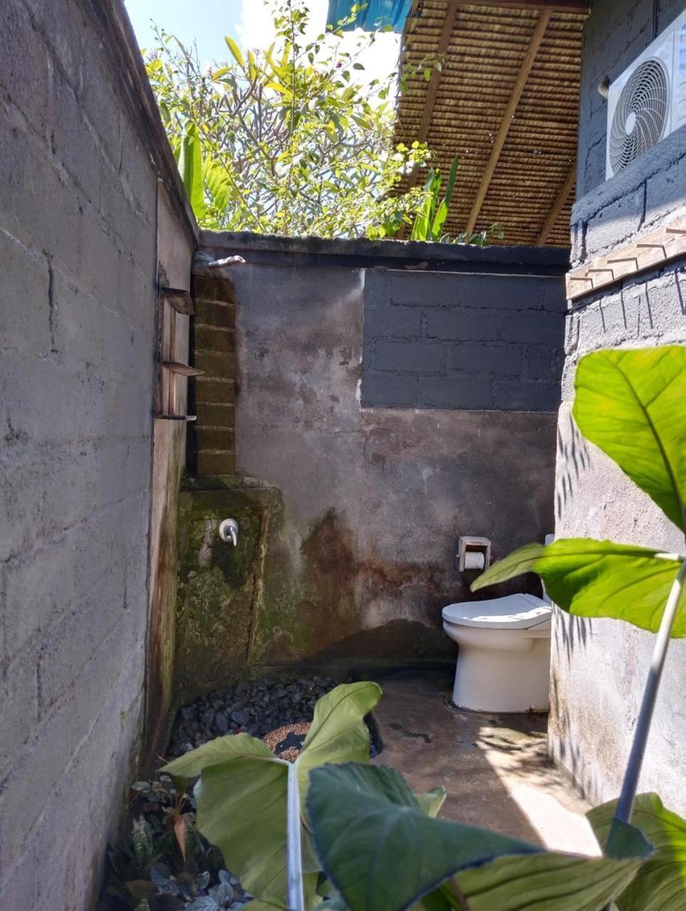 Caca Homestay Pemuteran Extérieur photo
